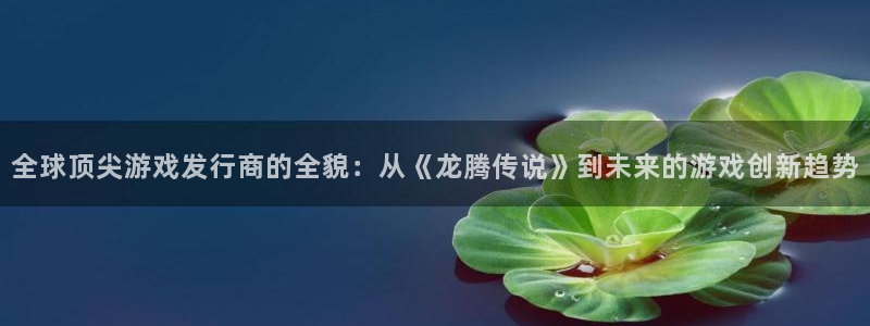 bbin视讯子签约作家：全球顶尖游戏发行商的全貌：从《龙腾传说》到未来的游戏创新趋势