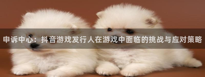 bbin视讯官网客服电话是多少：申诉中心：抖音游戏发行人在游戏中面临的挑战与应对策略
