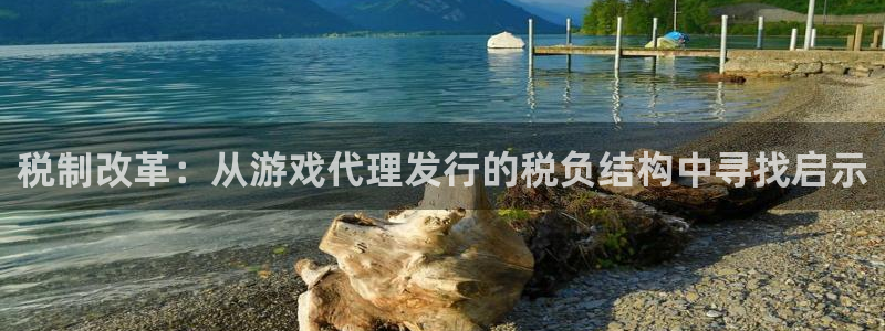 法国bbin视讯官网：税制改革：从游戏代理发行的税负结构中寻找启示