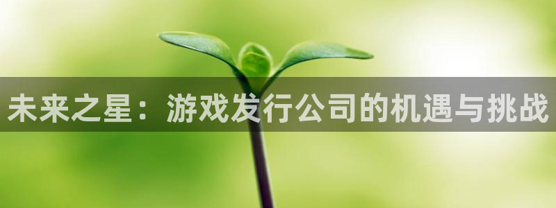 深圳bbin视讯电商