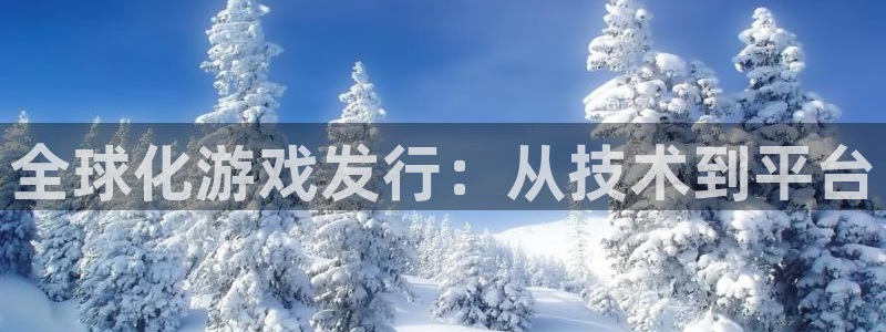 bbin视讯官网登录注册账号失败：全球化游戏发行：从技术到平台