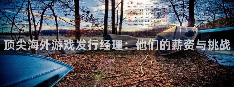 陕西bbin视讯子文化创意是干什么的：顶尖海外游戏发行经理：他们的薪资与挑战