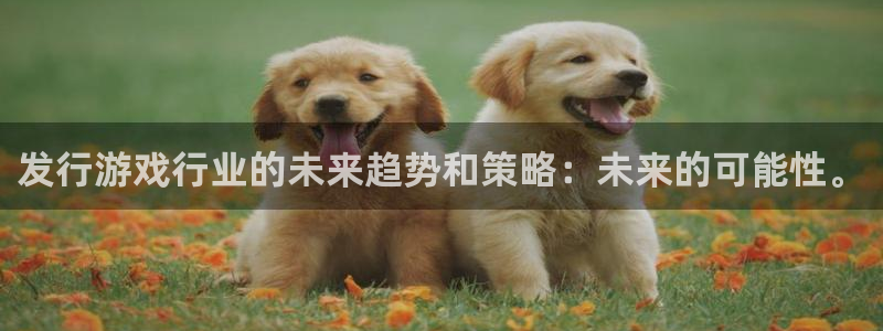 bbin视讯衣服怎么样：发行游戏行业的未来趋势和策略：未来的可能性。