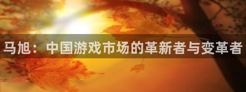 bbin视讯品牌策划团队介绍