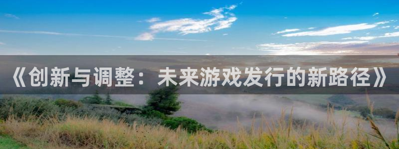 广州bbin视讯网络科技有限公司：《创新与调整：未来游戏发行的新路径》