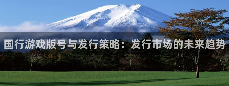 bbin视讯官网代理注册地址：国行游戏版号与发行策略：发行市场的未来趋势