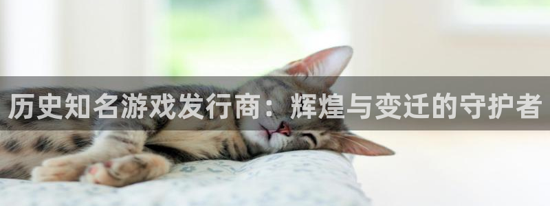 bbin视讯官网注册平台是什么公司：历史知名游戏发行商：辉煌与变迁的守护者