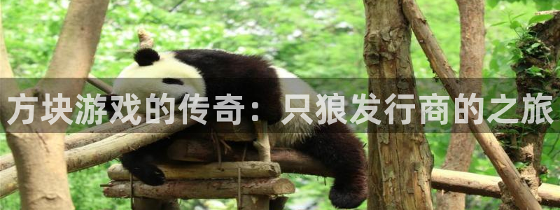 bbin视讯子文化是什么