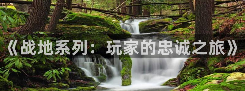 bbin视讯官网注册方法：《战地系列：玩家的忠诚之旅》