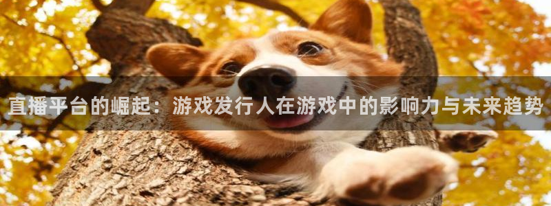 bbin视讯官网客服电话是多少：直播平台的崛起：游戏发行人在游戏中的影响力与未来趋势