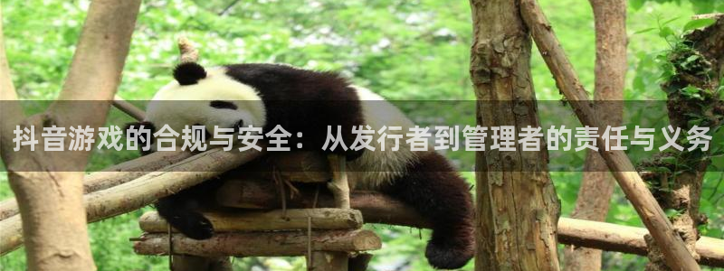 bbin视讯庄园：抖音游戏的合规与安全：从发行者到管理者的责任与义务