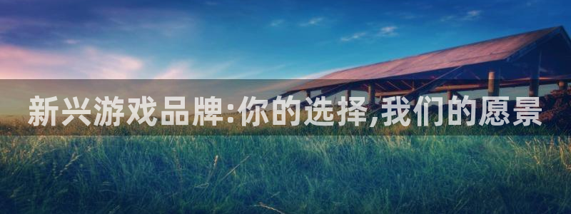 bbin视讯官网注册平台怎么注册账号：新兴游戏品牌:你的选择,我们的愿景