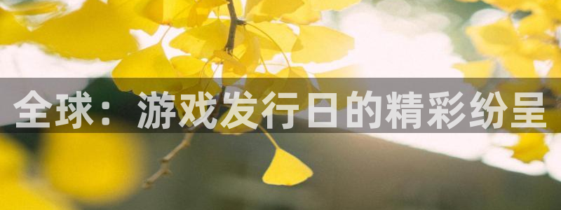 bbin视讯官网注册平台登录不上：全球：游戏发行日的精彩纷呈