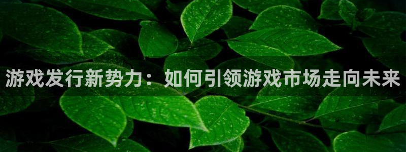 bbin视讯官网登录注册账号安全吗可靠吗：游戏发行新势力：如何引领游戏市场走向未来