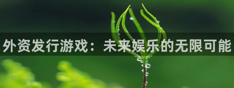 bbin视讯官网代理注册不了：外资发行游戏：未来娱乐的无限可能