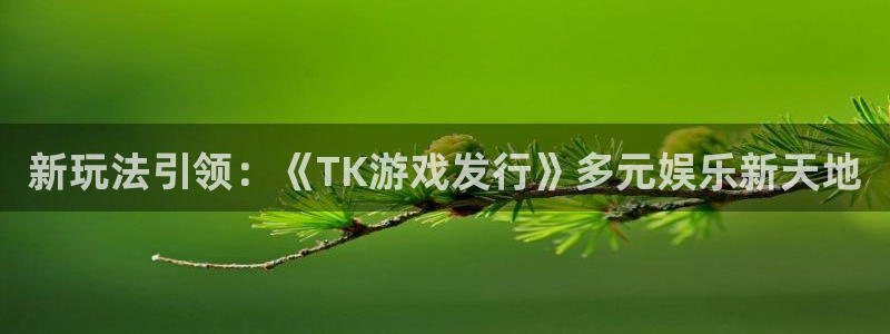 bbin视讯官网注册平台是什么软件