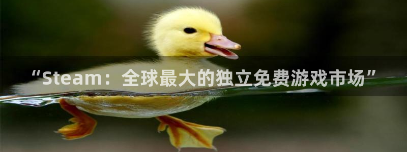 bbin视讯官网平台代理条件是什么